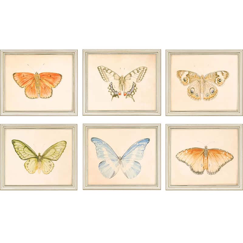Butterflies S/6 Framed Art Giclee Under Glass - Multi-Color - 12 X 14 X 1