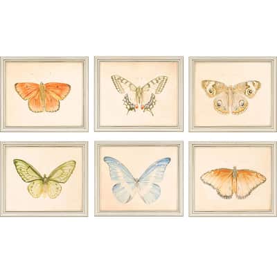 Butterflies S/6 Framed Art Giclee Under Glass - Multi-Color