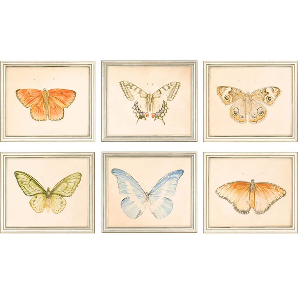 Butterflies S/6 Framed Art Giclee Under Glass - Multi-Color
