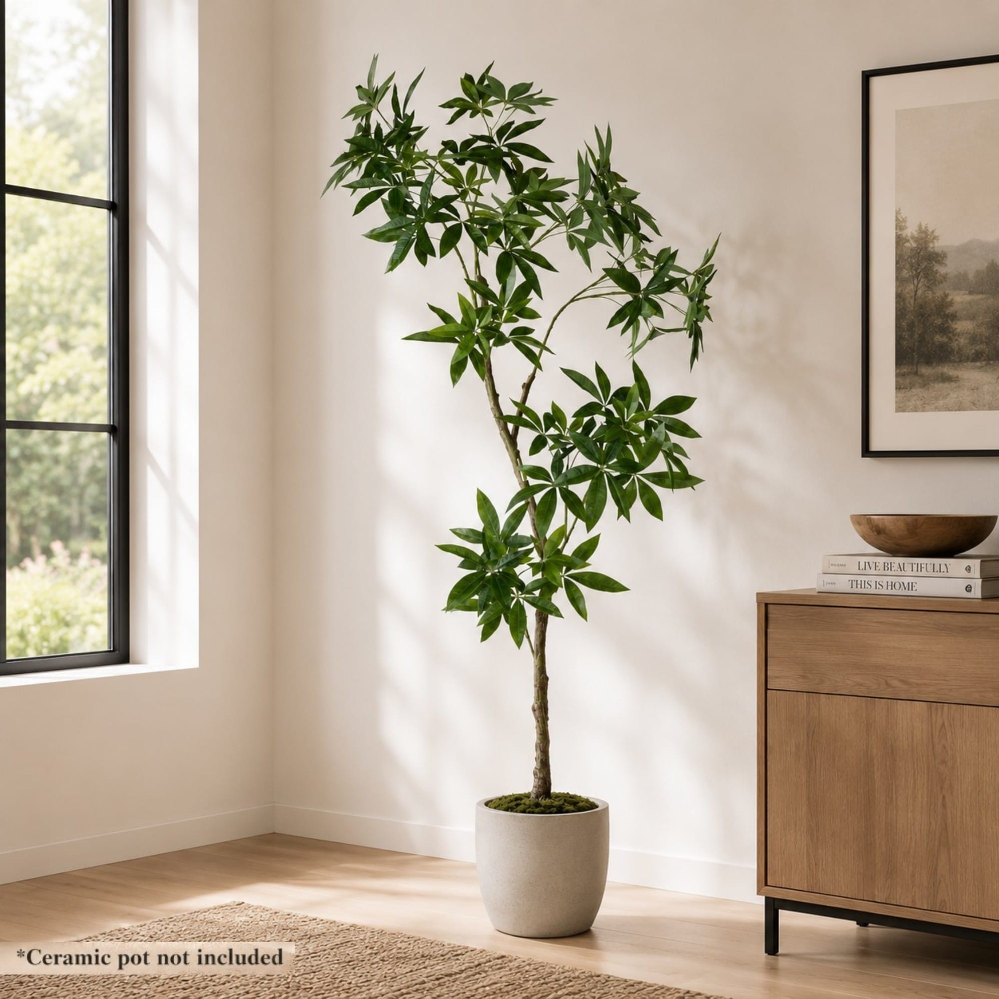 Everleaf 84" Faux Money Tree in Black Nursery Pot - Indoor Realistic Artificial Tropical Pachira Aquatica Plant