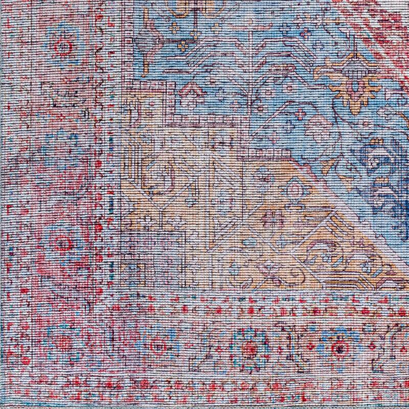 Madha Traditional Medallion Area Rug