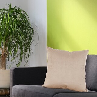 Allan Andrews Square 20 x 20 Decorative Throw Pillow, Bella Collection