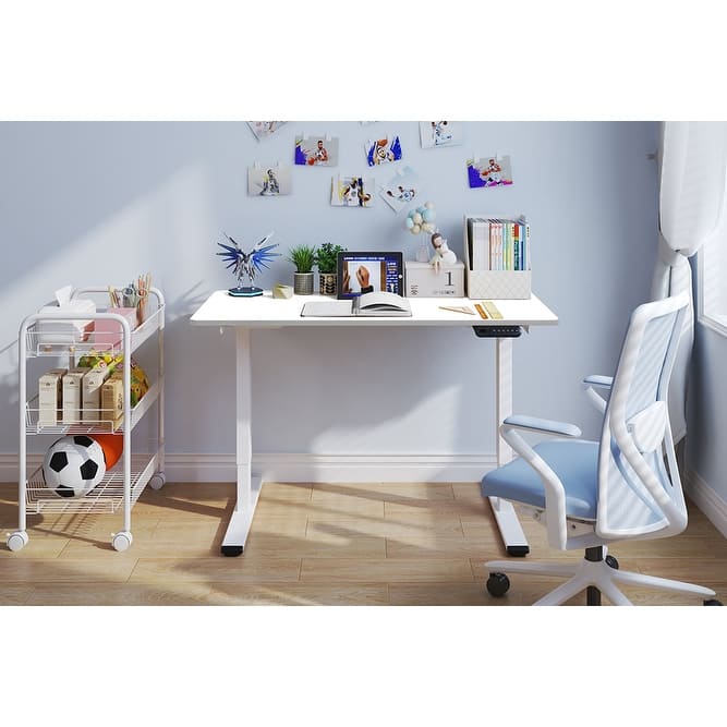 Electric Standing Desk, Dual Motor Adjustable 48x24 Home Workstation - White