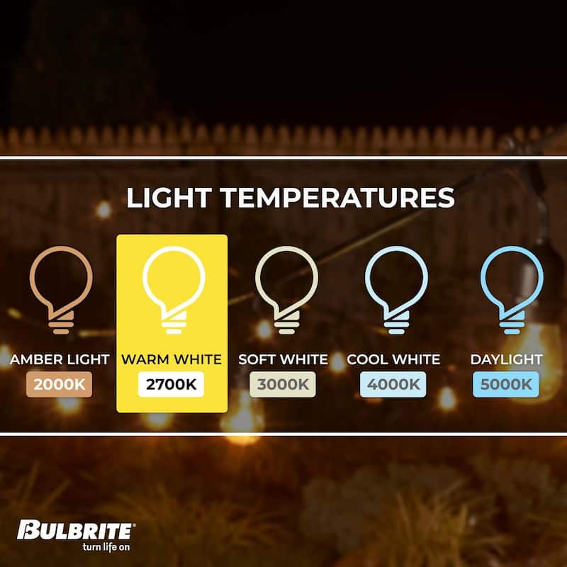Bulbrite 14 ft Indoor/Outdoor 10-Socket (E26) Decorative String Light Kit, Black