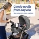 preview thumbnail 3 of 4, Graco Modes Pramette Stroller, Pierce