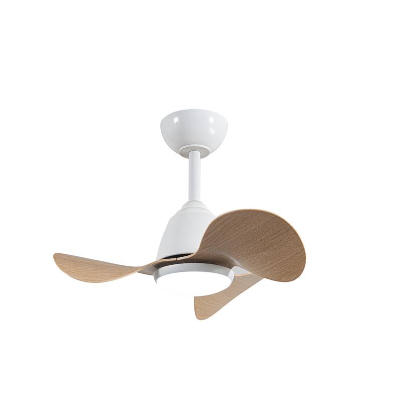Cian Modern White Lighted Ceiling Fan with Natural Wood Finish 3-Blades LED Remote Control - White-Natural