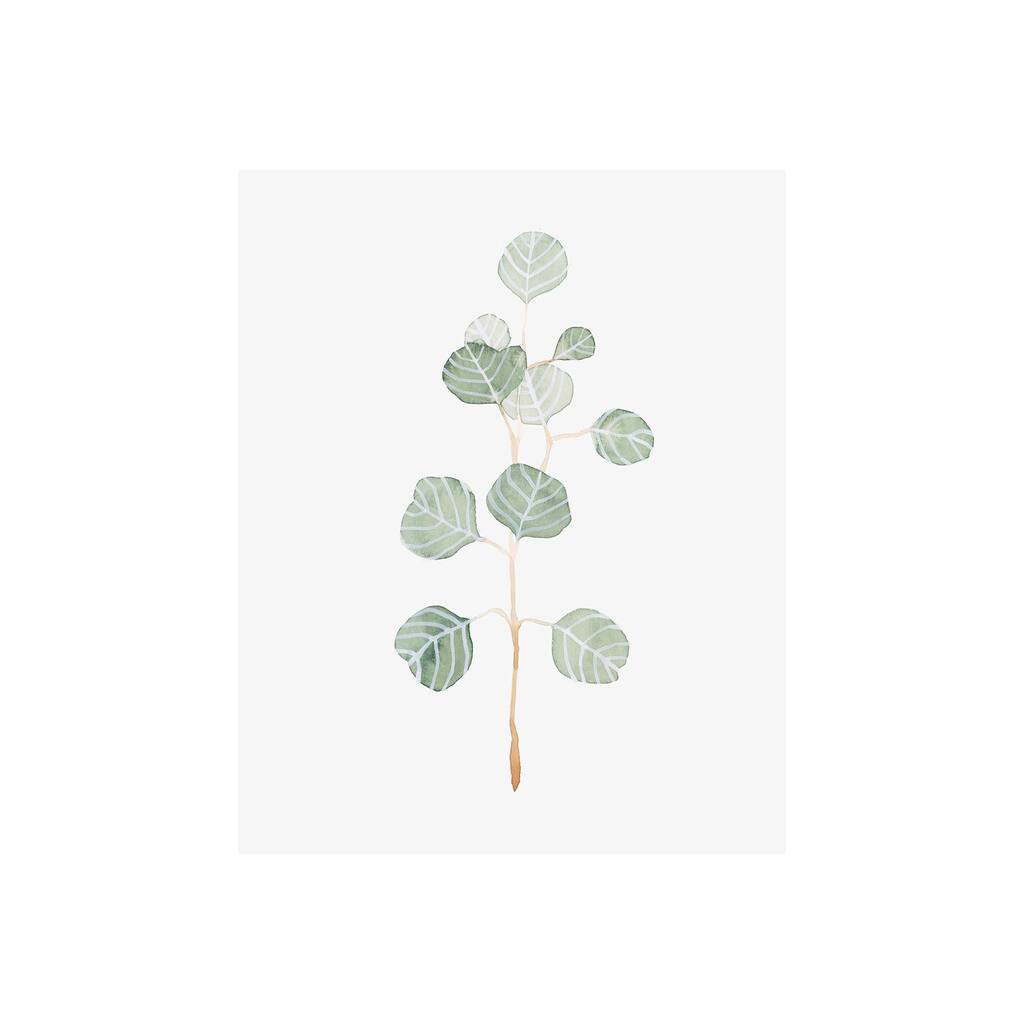 Soft Eucalyptus Branch II (28 x 35) Canvas Art Print