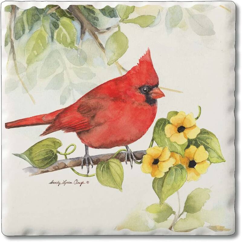 CounterArt Cardinal Absorbent Stone Tumbled Tile Coaster Set of 4 Made in The USA Protective Cork Backing - Multi