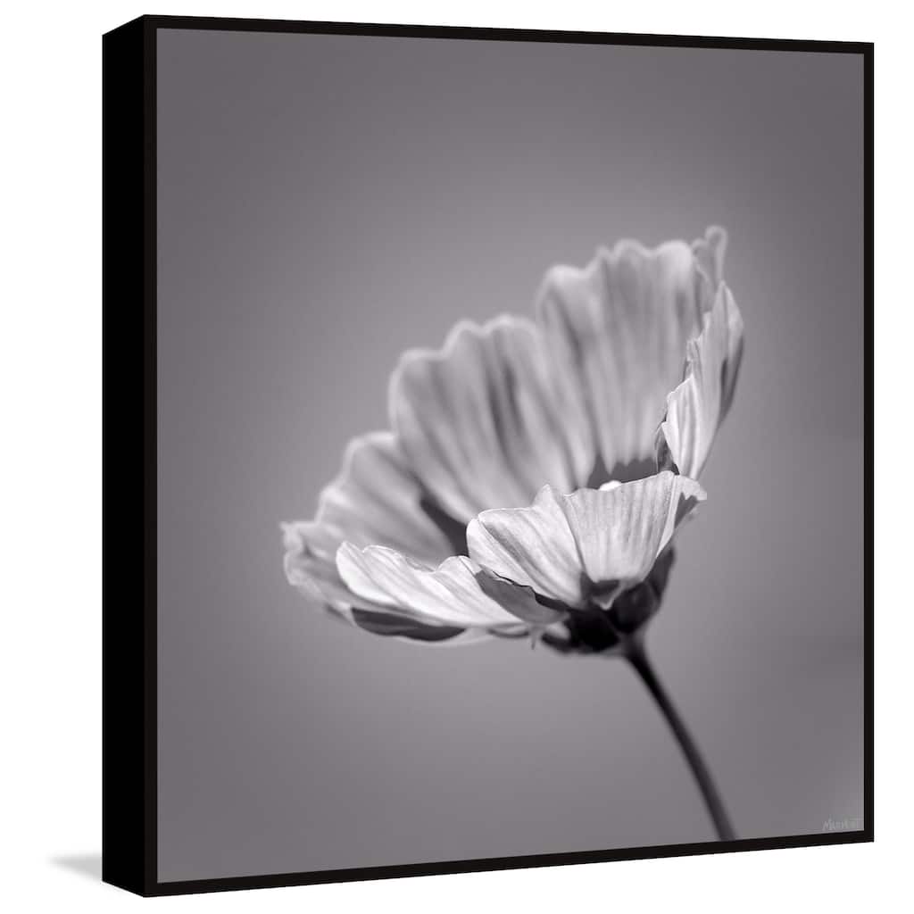 Dance in the Sun Floater Framed Print on Canvas