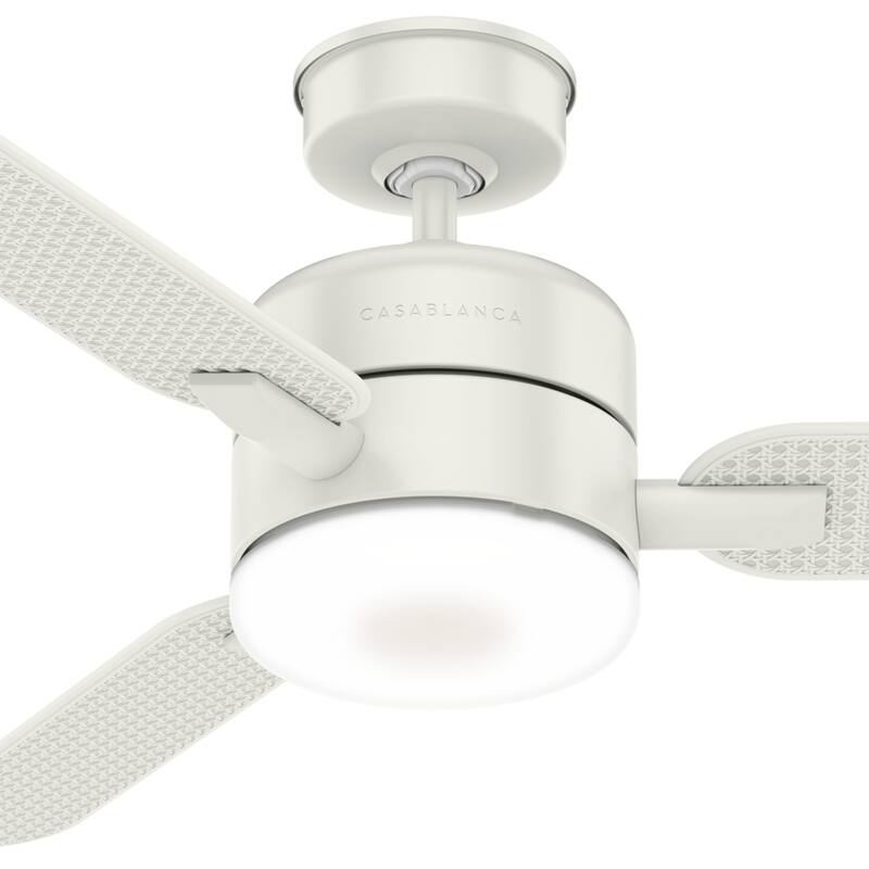 Casablanca 54" Paume Outdoor Ceiling Fan with LED Light Kit and Wall Control - Coastal - DAMP RATED!
