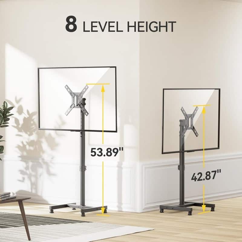 TV Floor Stand