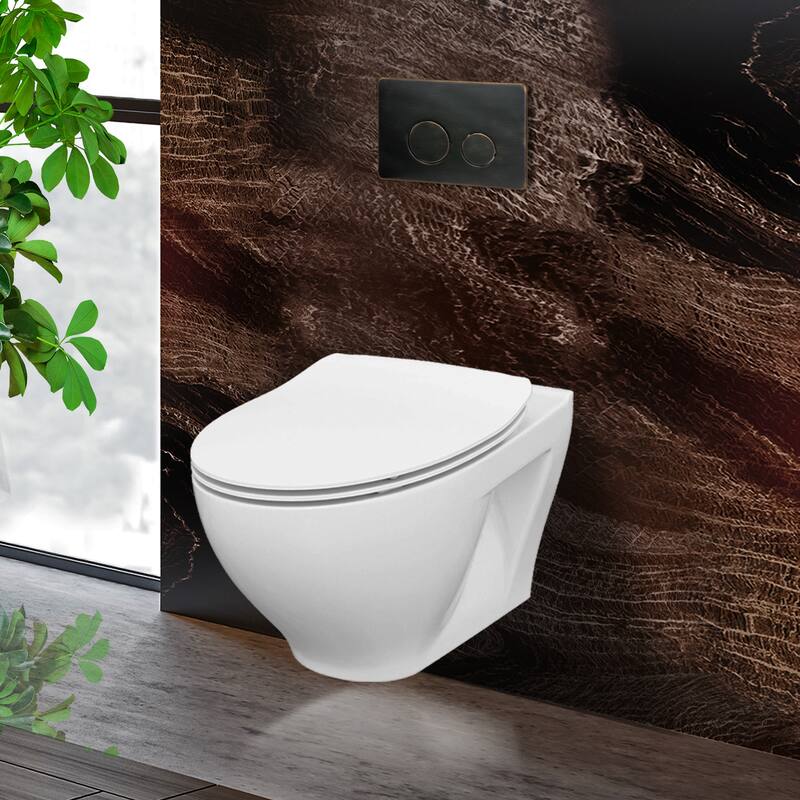 Toilet Combo Set - 20" Toilet Bowl With Soft-Close Seat, 2"x 6" Concealed Tank/Carrier System, Push Buttons Included. - Oil Rubbed Bronze Round - Push Plates (Metal)