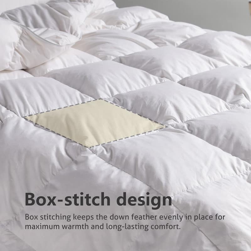 KASENTEX Cotton Cover Down Comforter - Duvet Insert - All Season
