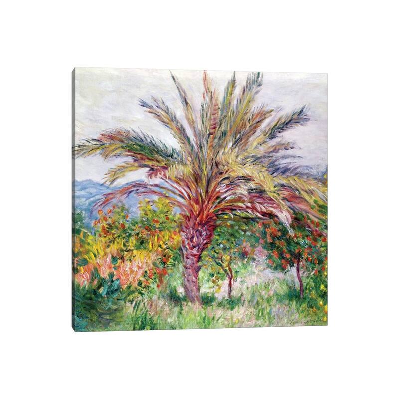 iCanvas "Palm Tree at Bordighera, c.1884 " by Claude Monet Canvas Print