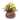 Novica Handmade Tropical House In Lizard Coconut Shell Hanging Planter