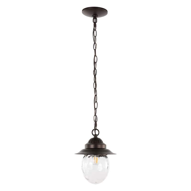 Glendale 8.25" 1-Light Farmhouse Industrial Iron/Glass Outdoor LED Pendant, Oil Rubbed Bronze/Clear by JONATHAN Y