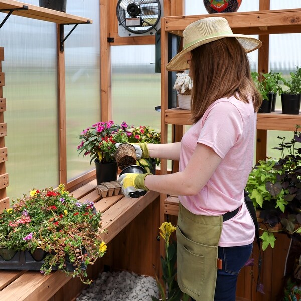 Backyard Discovery Poppy 11' x 7' Cedar Wood Greenhouse with