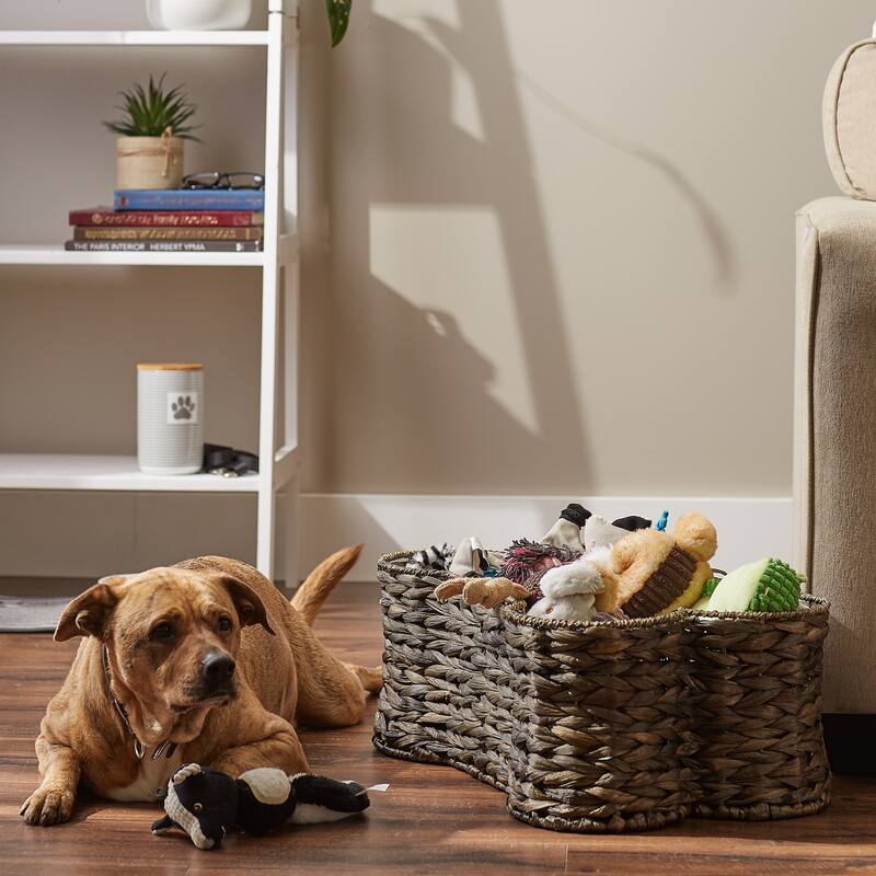 Bone Dry White Wash Hyacinth Bone Pet Basket Large 24x15x9