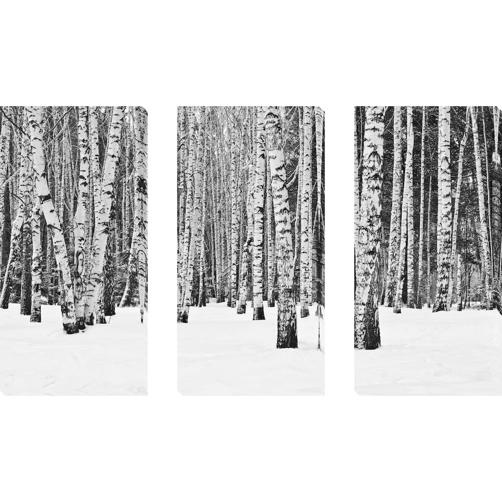"Birch Trees In Winter" 3 Piece Set on Canvas