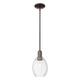 Option Oil Rubbed Bronze / Clear