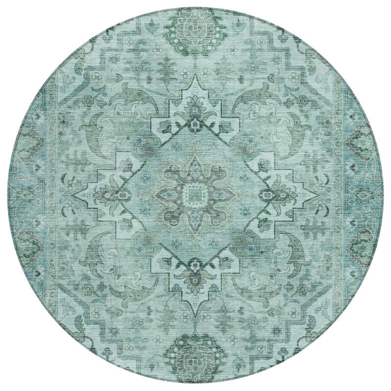 Machine Washable Indoor/Outdoor Traditional Vintage Chantille Rug