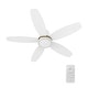 preview thumbnail 7 of 22, CARRO Cerus 48" 5-Blade Flush Mount Ceiling Fans with Light and Remote