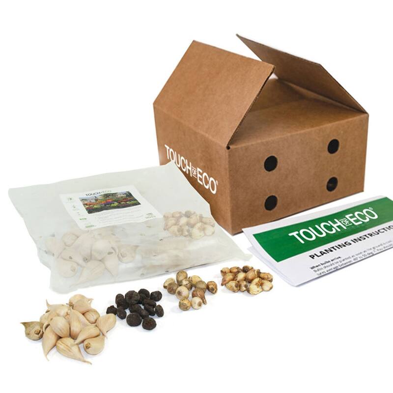 Rock Garden Mixed Flower Collection - 100 Bulbs - Featuring 4 Varieties of Blue, White & Purple Flowers - 100 Bulbs