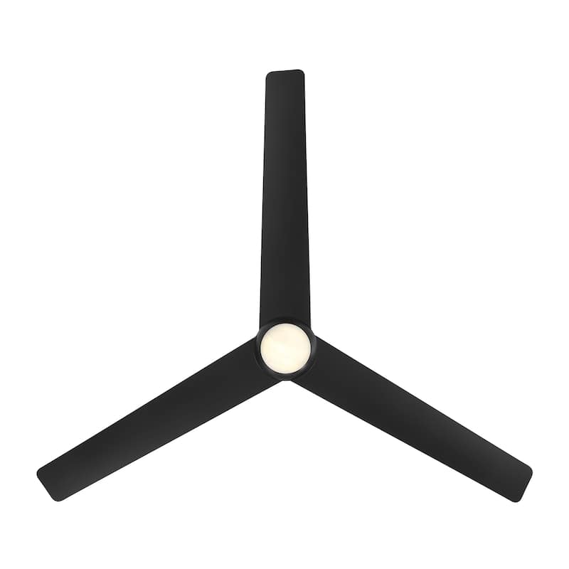 Pisces Indoor or Outdoor 3-Blade 54in Smart Ceiling Fan