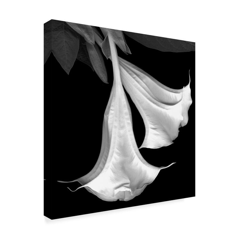 Susan S. Barmon 'Trumpet Flower Black And White' Canvas Art