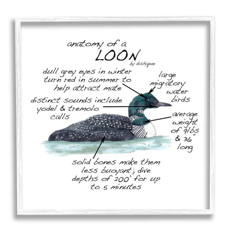 Stupell Loon Water Bird Anatomy Chart Educational Wildlife Facts Framed Wall Art, Design by Dishique - Grey