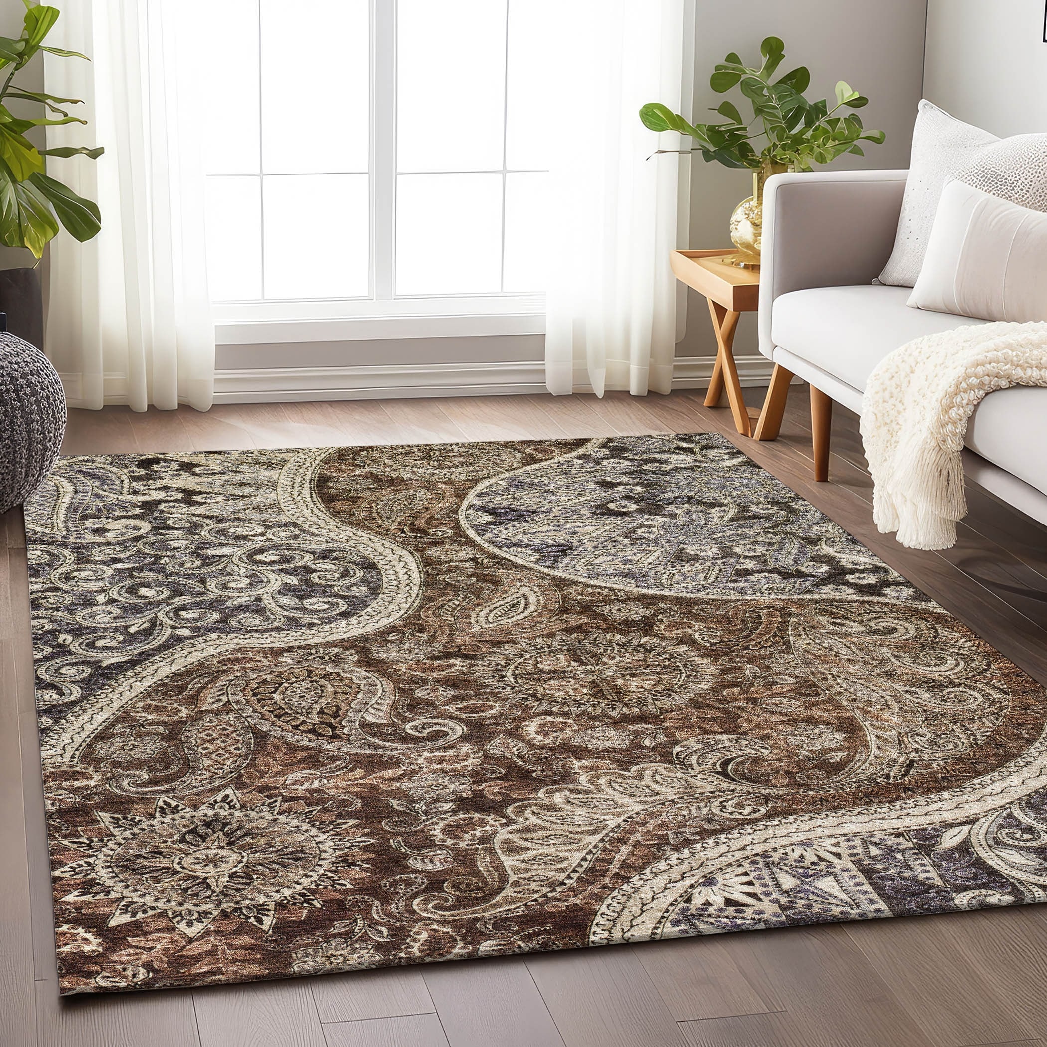 Machine Washable Indoor/ Outdoor Modern Paisley Chantille Rug