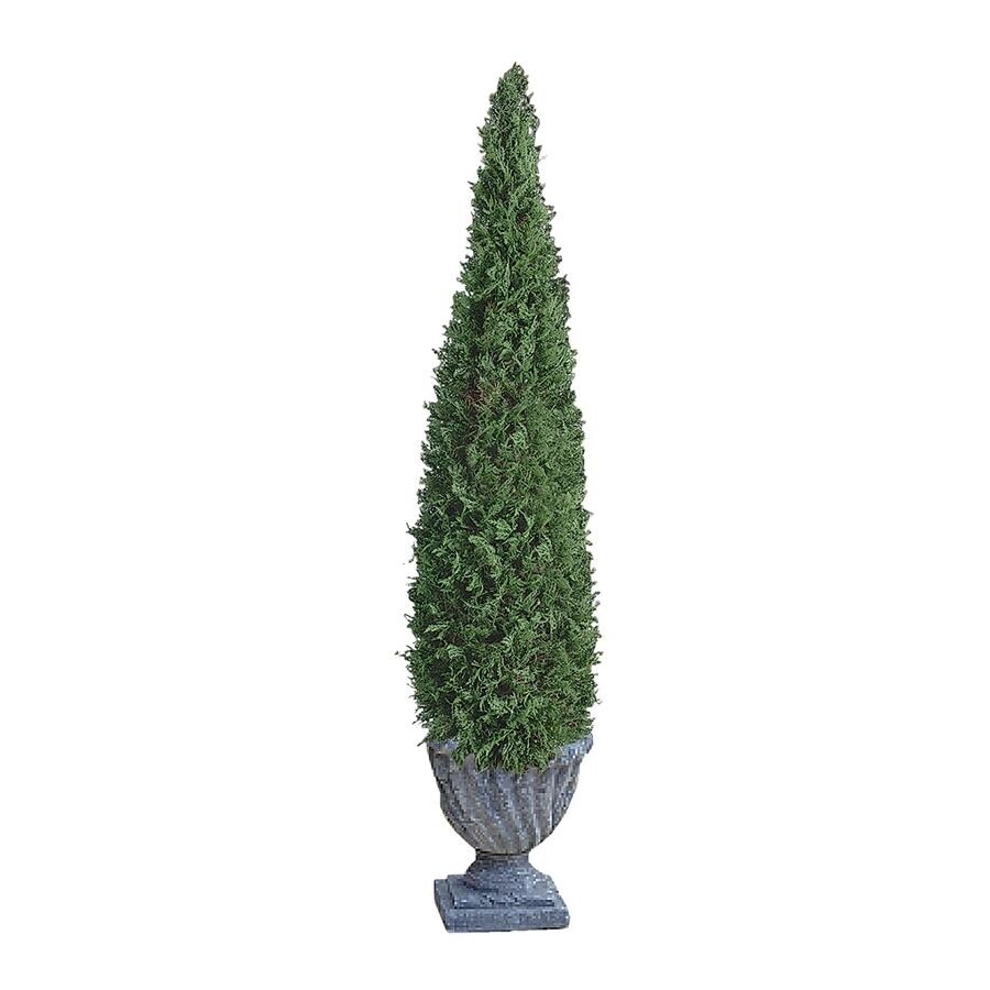 product-thumb