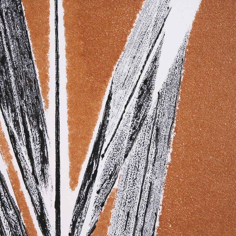 New Grasses 1