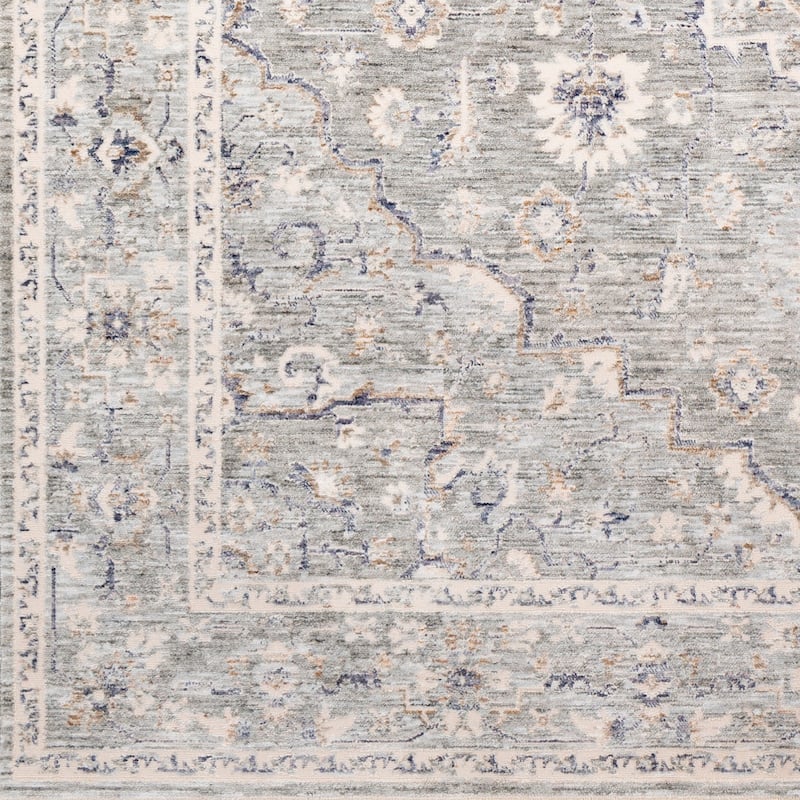 Artistic Weavers Aayla Traditional Medallion Area Rug
