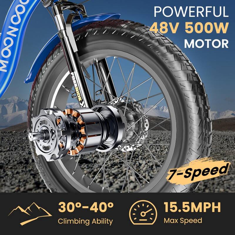 DoCred 20"x4" Fat Tire Electric Tricycle, 48V 500W with 7 Speed Ebike