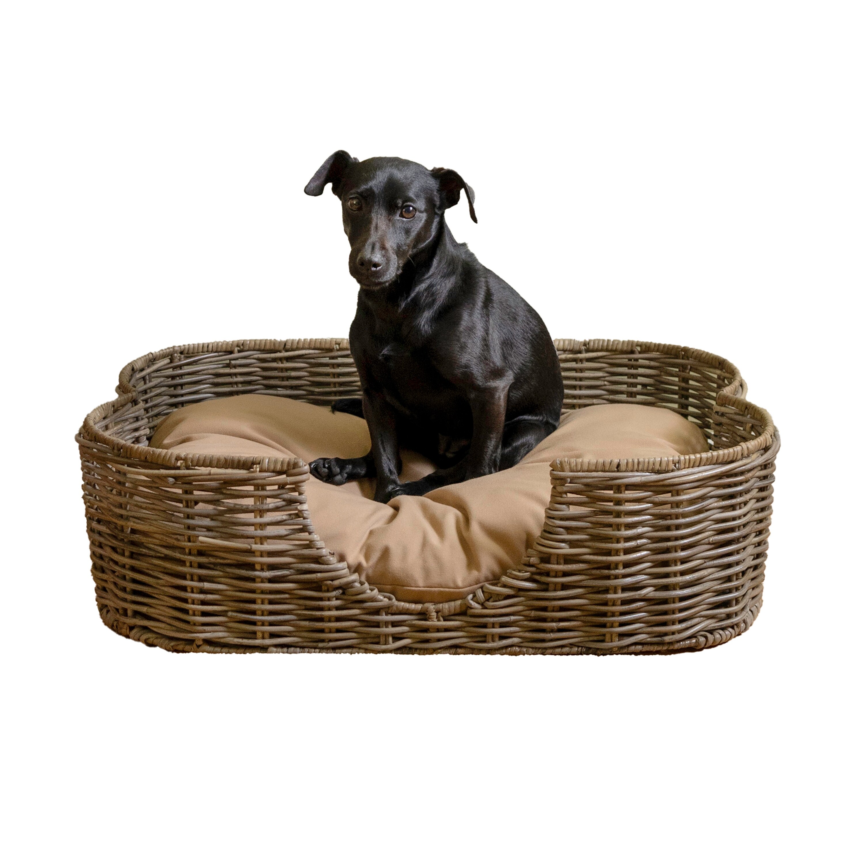 Scallop Rattan Dog Bed with Machine Washable Cushion