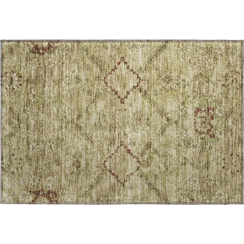 Premium Washable Super Soft Boho Moroccan Mayfield Rug