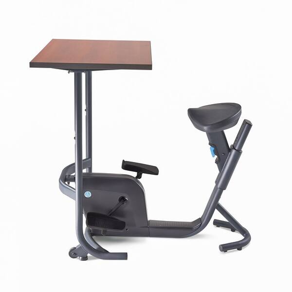 Shop Lifespan Fitness Unity Spin Cycle Bike Desk Workstation