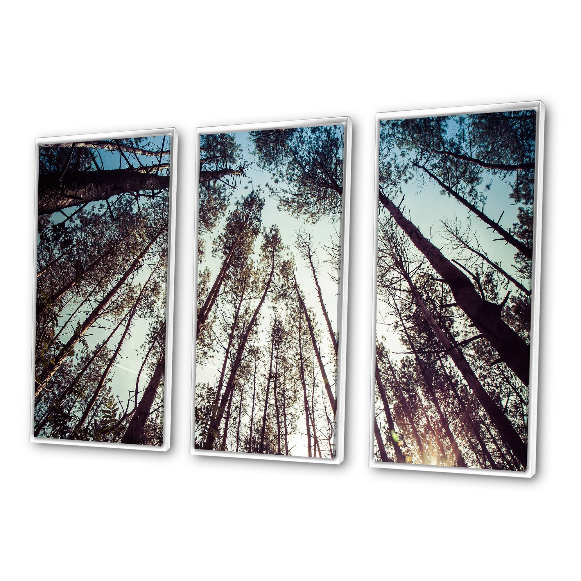Designart "High Forest Trees And Blue Sky" Traditional Framed Wall
