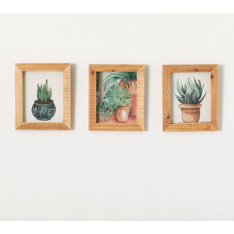 Sullivans 12" Planter Shadow Box Artwork Set of 3, Multicolor