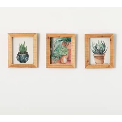 Sullivans 12" Planter Shadow Box Artwork Set of 3, Multicolor