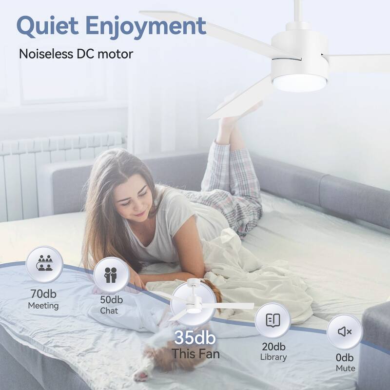 52-inches 3-Blade Ceiling Fan With Remote Downrod