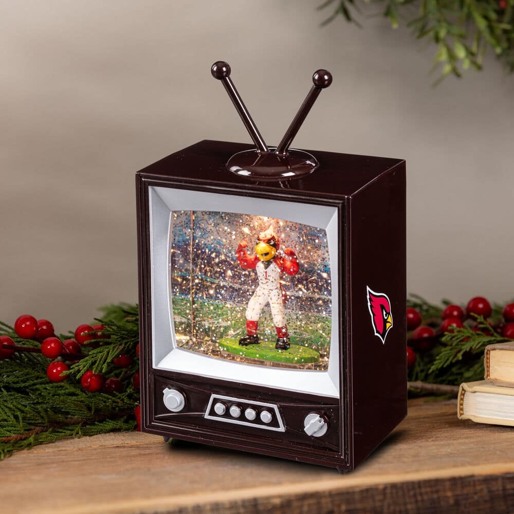 Arizona Cardinals 8 in. Vintage TV Light Up Water Lantern Snow Globe with Mascot