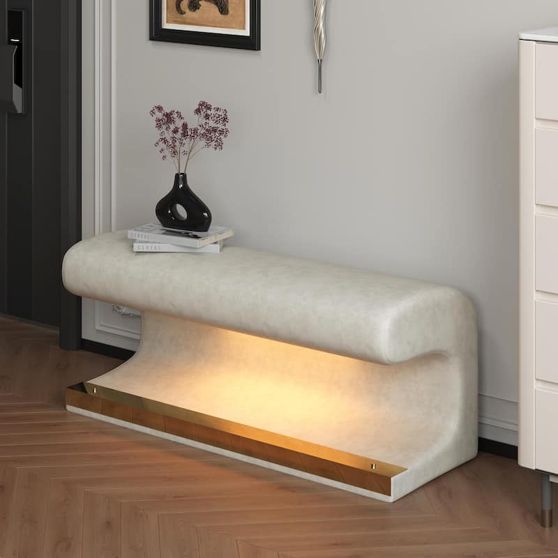 Modern & Contemporary Bench with Cushuion