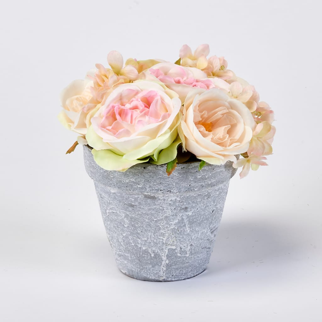 Roses in 6" Ceramic Pot - Pink - 6