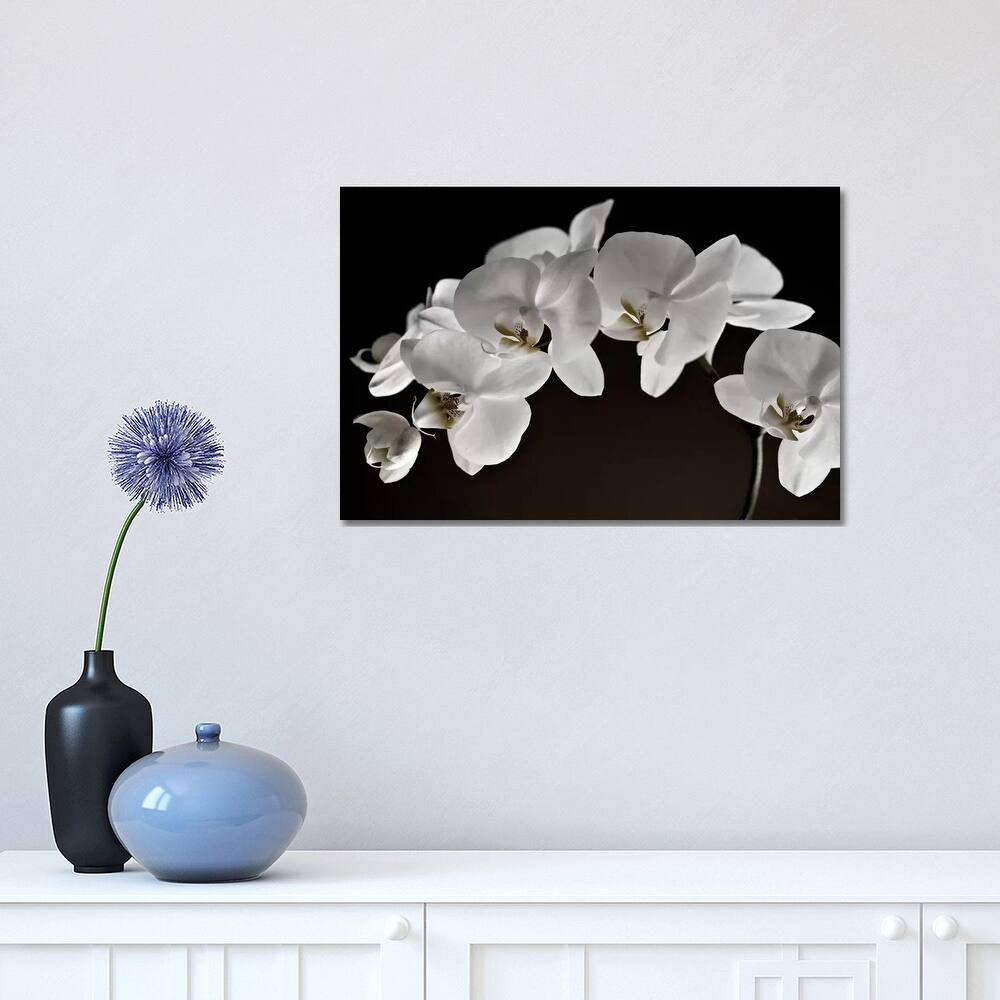 iCanvas "Orchids" by Symposium Design Canvas Print