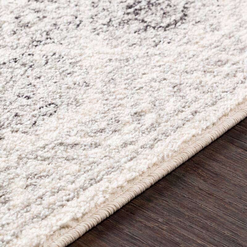Livabliss Camryn Boho Southwestern Area Rug