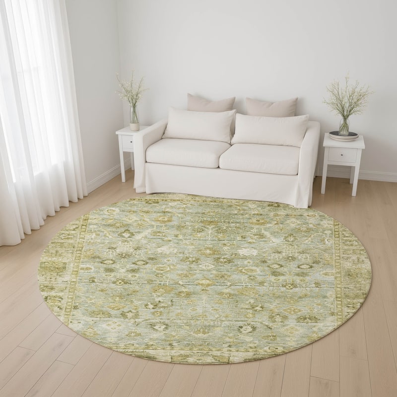 Premium Washable Super Soft Vintage Traditional Mayfield Rug - Sage - 8' x 8'