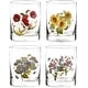 preview thumbnail 1 of 2, Portmeirion Botanic Garden Set of 4 Double Old Fashioned Glasses - 16 oz. Botanic Garden design