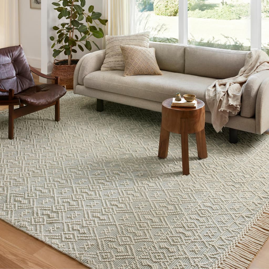 Alexander Home Joanna Farmhouse Hand Woven Area Rug
